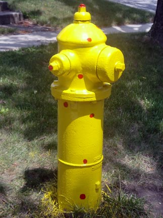 Polka Dot - 118 E. Adams